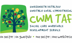 Cwm Taf logo